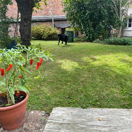 Beautiful Character Thatched Pet Friendly House Villa Enford Esterno foto